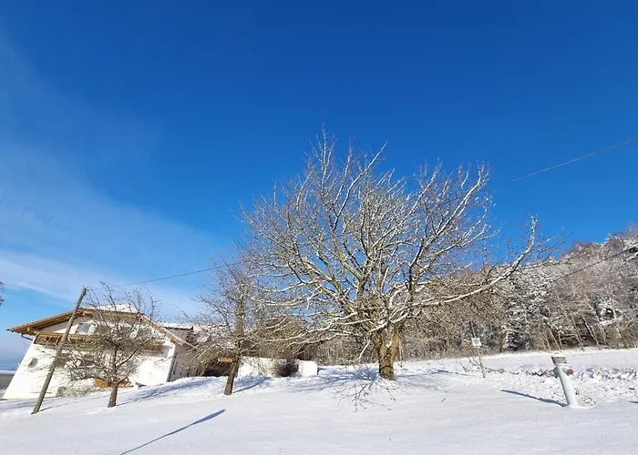 Hoamad Im Bayerischen Wald Eschlkam